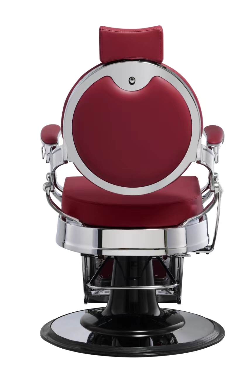 W-BUZZ SILVER BURDEOS - Imagen 5